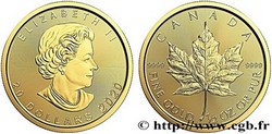 OR – CANADA - 20 DOLLARS 1/2 Oz - 15,55 GR OR FIN